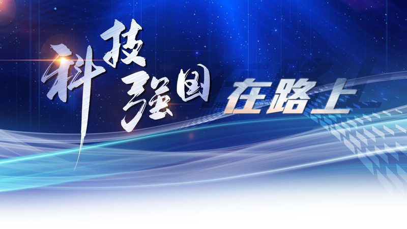 移动端数据安全风险评估：如何构建全面的安全防护体系